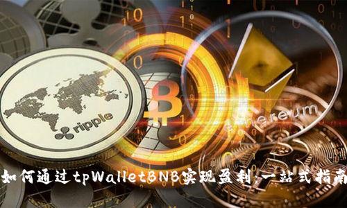 如何通过tpWalletBNB实现盈利：一站式指南