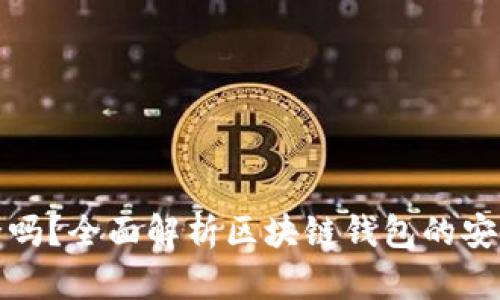 区块链钱包安全吗？全面解析区块链钱包的安全性与防护措施