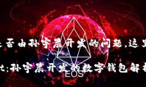 关于tpWallet是否由孙宇晨开发的问题，这里做出详细分析。

### tpWallet：孙宇晨开发的数字钱包解析