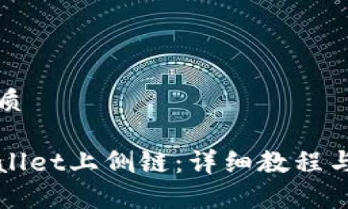 思考一个的优质

如何使用tpWallet上侧链：详细教程与常见问题解答