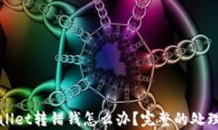 tpWallet转错钱怎么办？完整