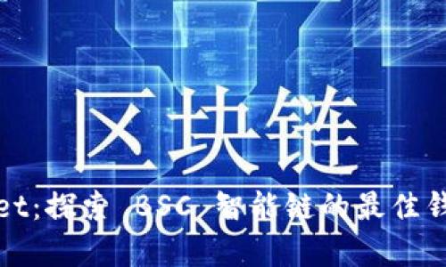 tpWallet：探索 BSC 智能链的最佳钱包选择