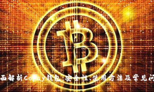 全面解析Copay钱包：安全性、使用方法及常见问题