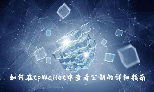 如何在tpWallet中查看公钥的详细指南