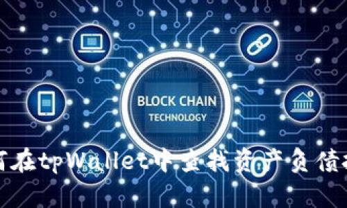 如何在tpWallet中查找资产负债报告