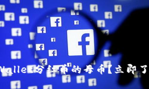 如何判断tpWallet分红币的母币？立即了解投资策略！