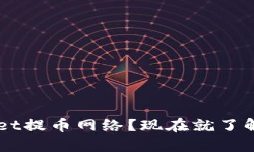 如何查看tpWallet提币网络？现在就了解2025必看技巧！