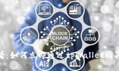 2025必看：如何立即通过