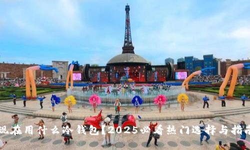 现在用什么冷钱包？2025必看热门选择与指南