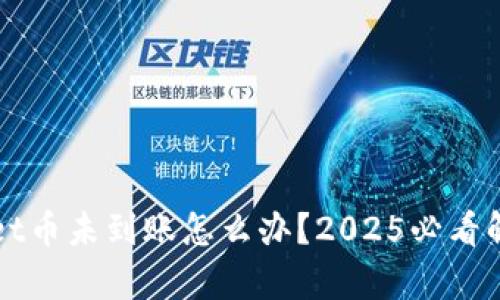 tpWallet币未到账怎么办？2025必看解决指南