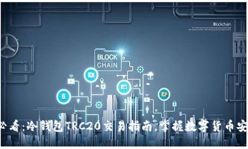 2025必看：冷钱包TRC20交易指南，掌握数字货币安全秘笈
