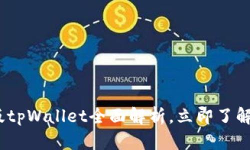 2025必看：国外版tpWallet全面解析，立即了解全球支付新趋势！