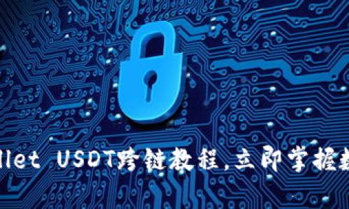 2025必看：tpWallet USDT跨链教程，立即掌握数字资产转移技巧