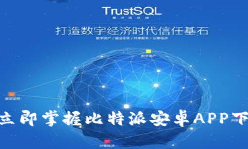 2025必看！立即掌握比特派安卓APP下载安装教程