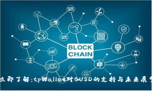 立即了解：tpWallet对BUSD的支持与未来展望