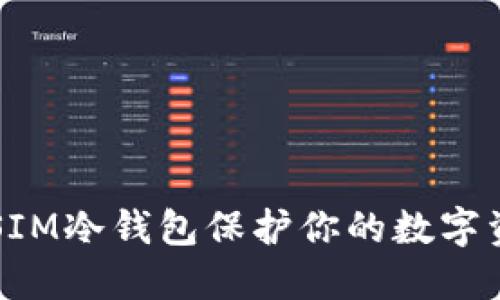 2025必看！选择肖恩DSIM冷钱包保护你的数字资产，立即了解最新动态