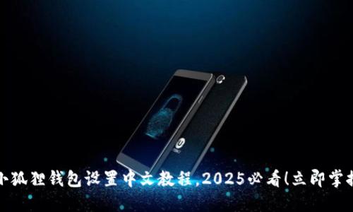 小狐狸钱包设置中文教程，2025必看！立即掌握