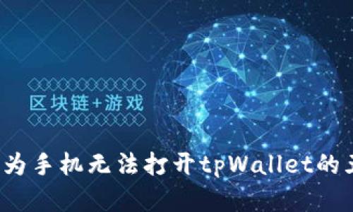 立即解决：华为手机无法打开tpWallet的五个实用方法
