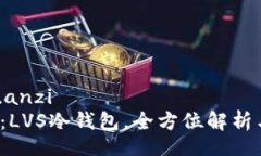 actus_yuanzi  2025必看：LVS冷