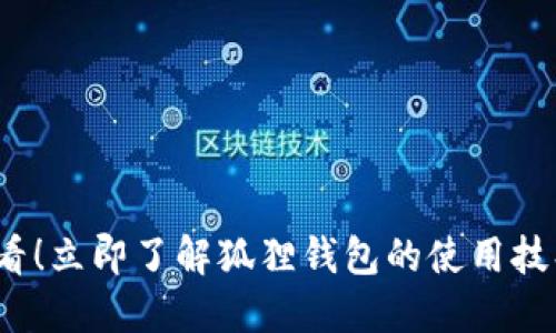 2025必看！立即了解狐狸钱包的使用技巧与指南
