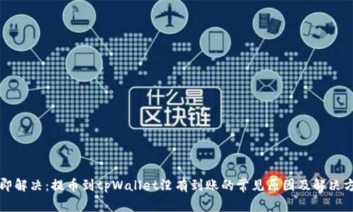 立即解决：提币到tpWallet没有到账的常见原因及解决方案