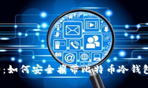 2025必看：如何安全携带比特币冷钱包通过海关