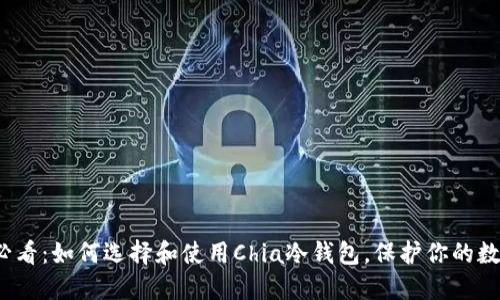 2025必看：如何选择和使用Chia冷钱包，保护你的数字资产