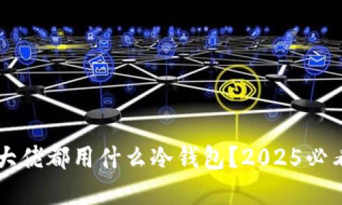 币圈大佬都用什么冷钱包？2025必看选择