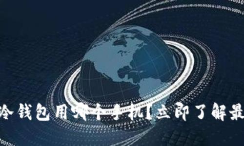 2025必看：冷钱包用哪个手机？立即了解最安全的选择