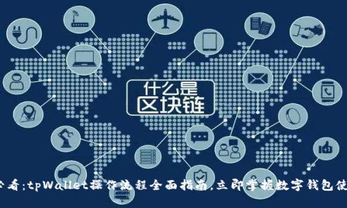 2025必看：tpWallet操作流程全面指南，立即掌握数字钱包使用技巧
