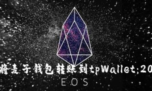 立即学习如何将麦子钱包转账到tpWallet：2025年必看指南