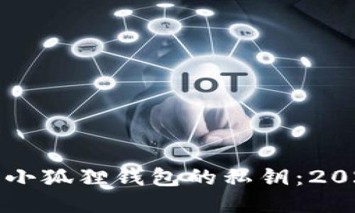 如何立即导出小狐狸钱包的私钥：2025年必看指南