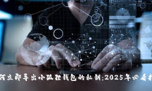 如何立即导出小狐狸钱包的私钥：2025年必看指南