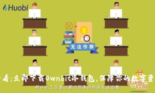2025必看：立即下载Ownbit冷钱包，保障你的数字资产安全！