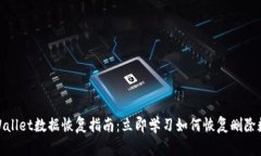 tpWallet数据恢复指南：立即