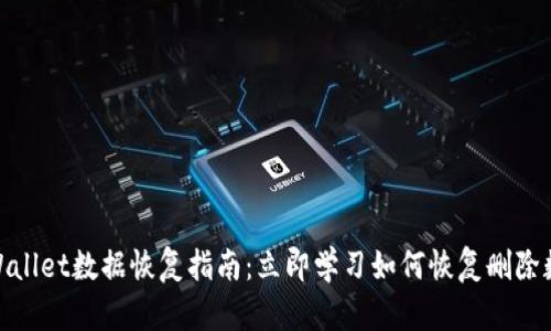 tpWallet数据恢复指南：立即学习如何恢复删除数据