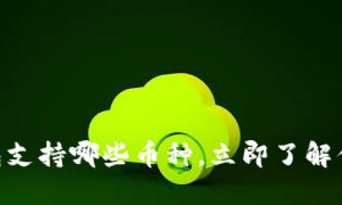 2025必看：冷钱包支持哪些币种，立即了解你的数字资产安全