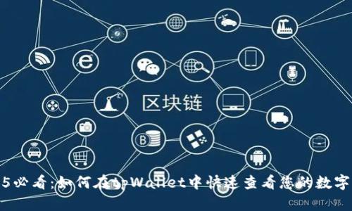 2025必看：如何在tpWallet中快速查看您的数字资产