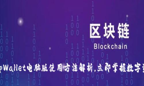 2025必看：tpWallet电脑版使用方法解析，立即掌握数字资产管理技巧