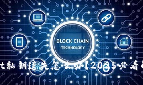 tpWallet私钥遗失怎么办？2025必看解决方案