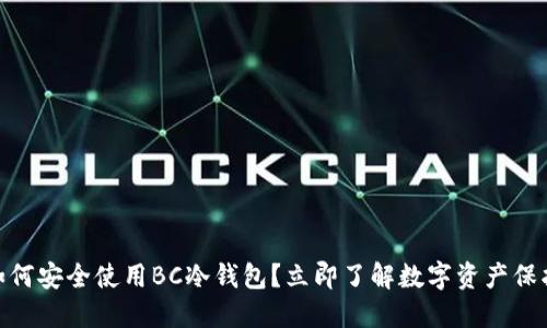 2025必看：如何安全使用BC冷钱包？立即了解数字资产保护的最佳方案
