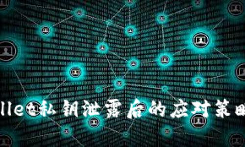 2025必看：tpWallet私钥泄露后的应对策略与安全防护指南