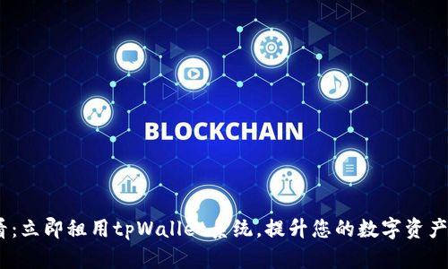 2025必看：立即租用tpWallet系统，提升您的数字资产管理体验