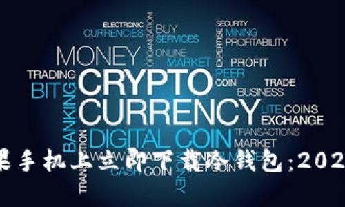 如何在苹果手机上立即下载冷钱包：2025必看指南