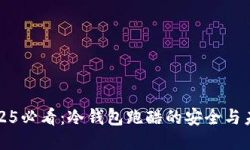 2025必看：冷钱包跑酷的安全与未来