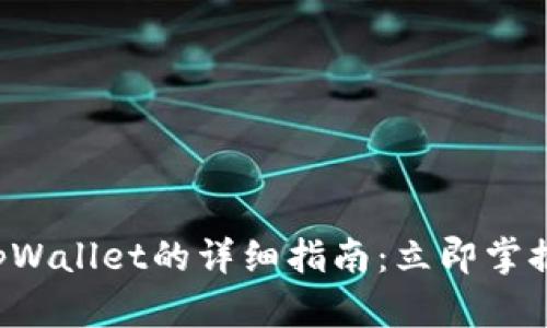 中本聪币转到tpWallet的详细指南：立即掌握2025必看技巧