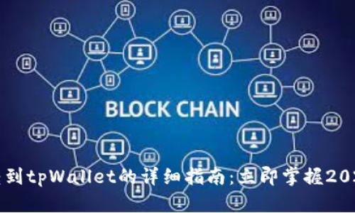 中本聪币转到tpWallet的详细指南：立即掌握2025必看技巧