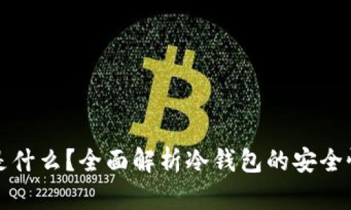 冷钱包是什么？全面解析冷钱包的安全性与功能
