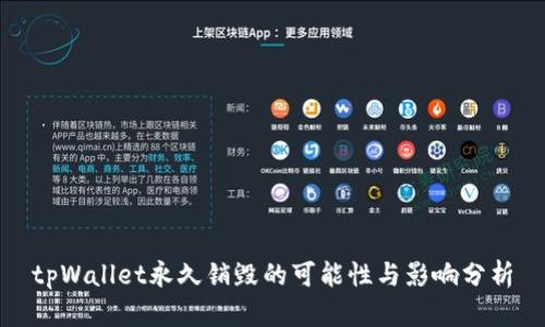 tpWallet永久销毁的可能性与影响分析