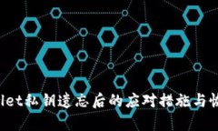 TP Wallet私钥遗忘后的应对